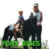 rent a pony in Carrollton