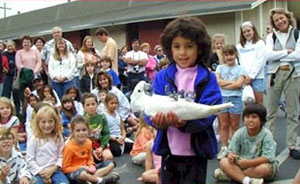 A young child with our happy parrot a birthday party with a bird theme
