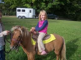 Pony and Petting Zoo rentals for kids parties!