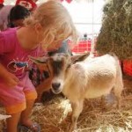 rent petting zoo orange county ponies for kids party rentals los angeles 