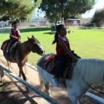los angeles kids party petting zoo rentals childrens pony parties