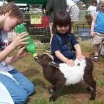 orange county kids party petting zoo rental childrens parties pony rides los angeles san francisco rent ponies