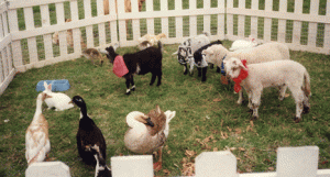 childrens party petting zoo rental ponies for kids parties california texas dallas houston los angeles