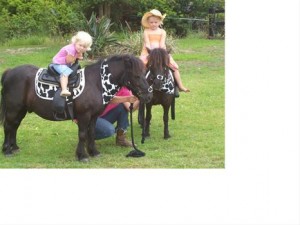 kids party pony rides petting zoo rentals children's birthday parties los angeles orange county san francisco