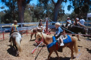 pony_rides_rent_kids-party-petting-zoo-rentals-los-angeles-san-diego-childrens-parties