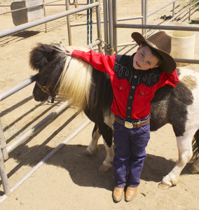kids party pony rental los angeles rent petting zoo childrens parties orange county 