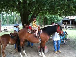 Rent Children's Parties Pony Rides and Mobile Petting Zoo Rentals!