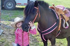 Pony Ride Children's Party Rentals! los angeles orange county san jose