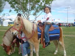 Rent Pony and Petting Zoo for Child's Party Los Angeles Orange County San Jose