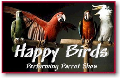 brids for kids parties - performing parrots for partys