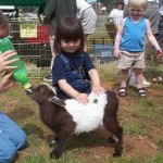 san jose kids party pony rental childrens petting zoo animal theme birthday parties 