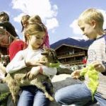 rent a petting zoo for san jose kids party pony rides for childrens birthday parties san francisco los angeles california