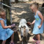 Orange County children's petting zoo rentals Los Angeles kids party pony rides ponies rental