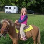 orange county petting zoo rental kids birthday party pony rides los angeles childrens parties