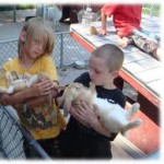 orange county childrens birthday party petting zoo rentals