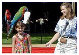 Happy Birds show children's party entertainment rentals San Diego San Jose Los Angeles
