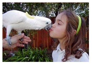 Happy Birds Performin parrot show rental for parties in Menlo Park Beverly Hills San Diego San Jose