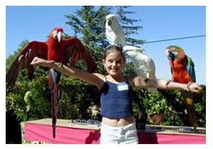Kids party entertainment rental. Happy Birds show for party entertainment in Los Angeles Melano Park San Diego San Jose.