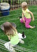 Mobile petting zoo rentals los angeles kids birthday party ponies orange county animal theme childrens parties