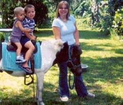 Rent pony los angeles mobile petting zoo rentals orange county childrens parties animal theme