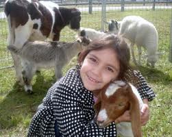 rent mobile petting zoo childrens birthday party san jose san francisco bay area