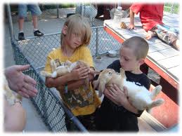 rent kids party mobile petting zoo orange county