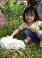 mobile petting zoo rentals child birthday parties los angeles