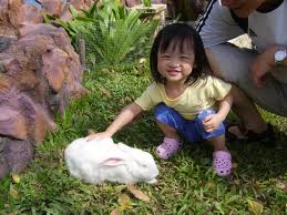mobile petting zoo rentals child birthday parties los angeles