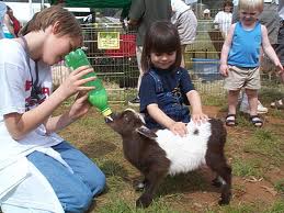 Petting Zoo Birthday Party Rentals for Kids!