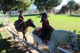 Find Birthday Party Rentals for Kids! pony rides mobile petting zoos
