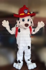 Kid's Birthday Party Costume Character Rentals! Paw Patrol mascots chase rubble skye rocky