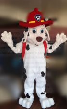 Rent Paw Patrol Birthday Party Costume Character Mascot Rentals! CHASE MARSHALL ROCKY RUBBLE SKYE