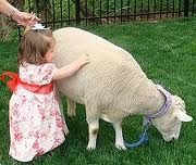 Find Kid's Birthday Party Petting Zoo Rentals! Rent pony rides mobile zoos Los Angeles