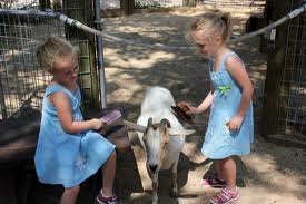 Los Angeles mobile petting zoos rentals kids birthday party childrens parties