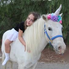 Pony Rides and Mobile Petting Zoo Rentals