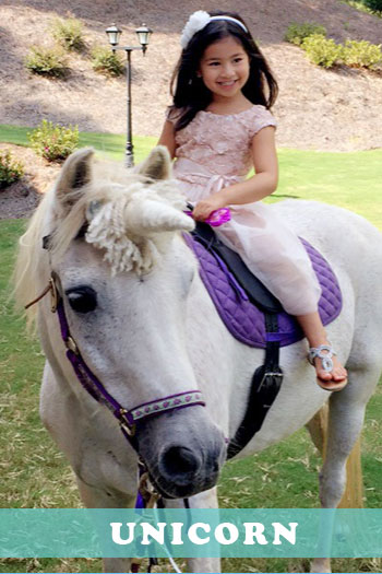 Where to Rent Pony Rides!