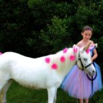 Hire Kids Party Ponies!