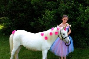 Children's Party Pony Petting Zoo Rentals!