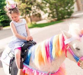 Rent a Pony for Birthday Parties!