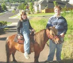 ORANGE COUNTY pony ride rentals