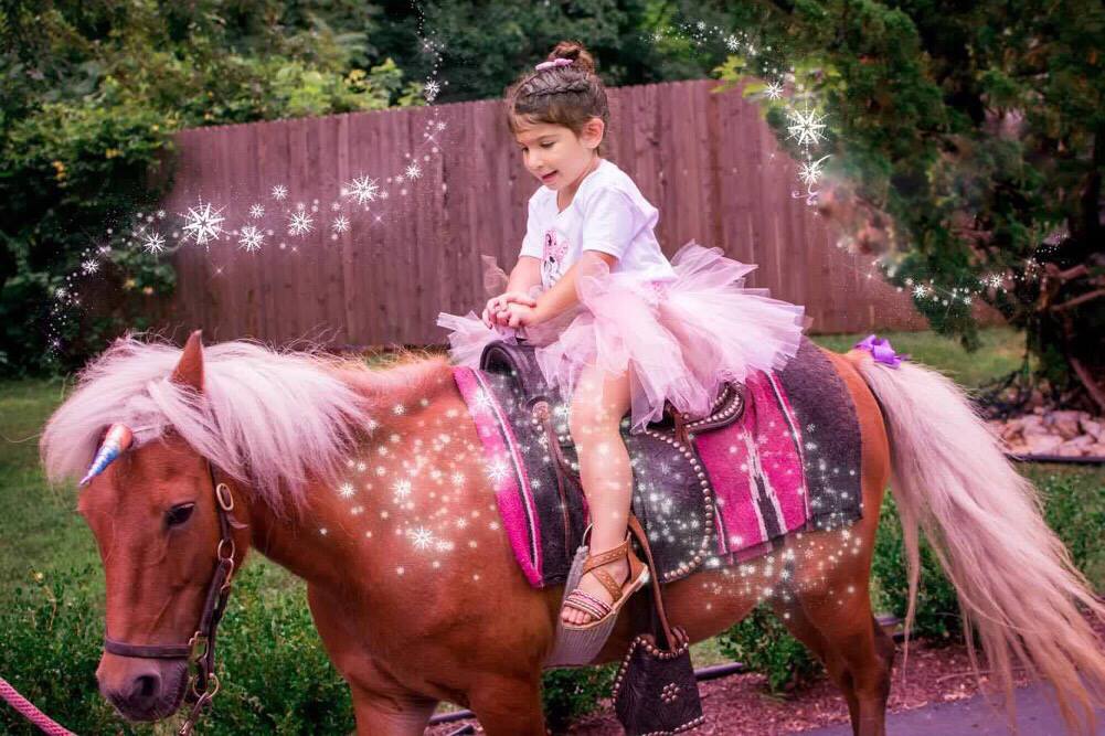 pony petting zoo rentals san bay area