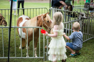 Find Petting Zoo Rentals Near You with friendly farm animals, pony rides, and mobile zoo entertainment for kids birthday parties and family events