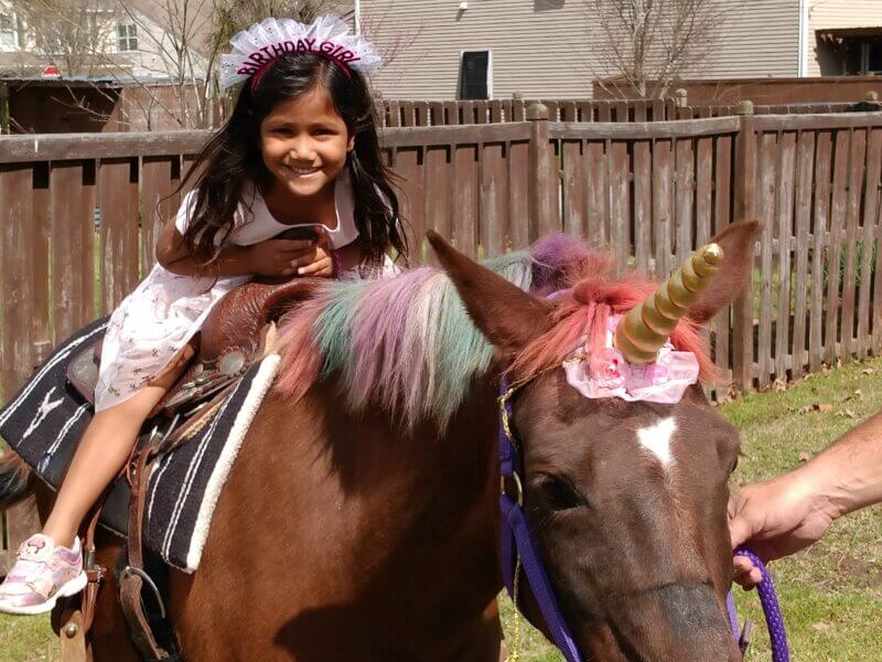 Backyard pony ride entertainment for a children's birthday.