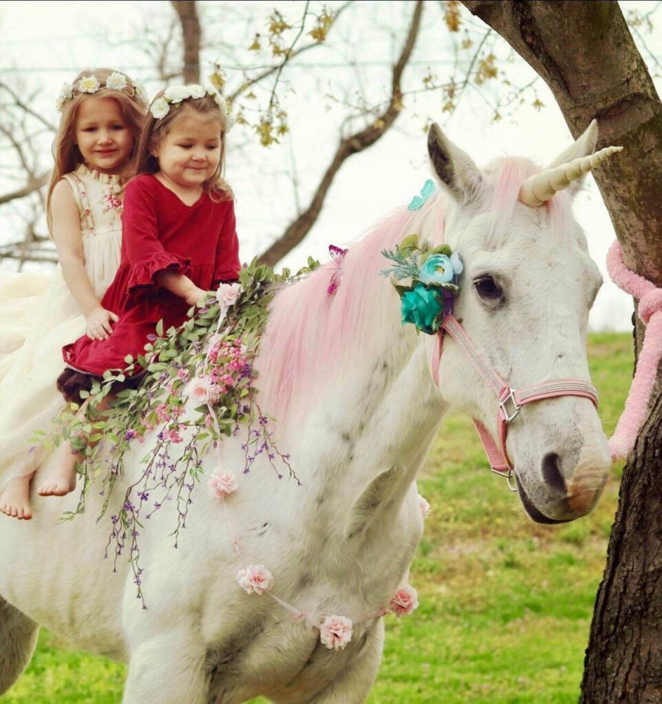 Two girls in flower crowns riding a unicorn-themed pony at a birthday party.