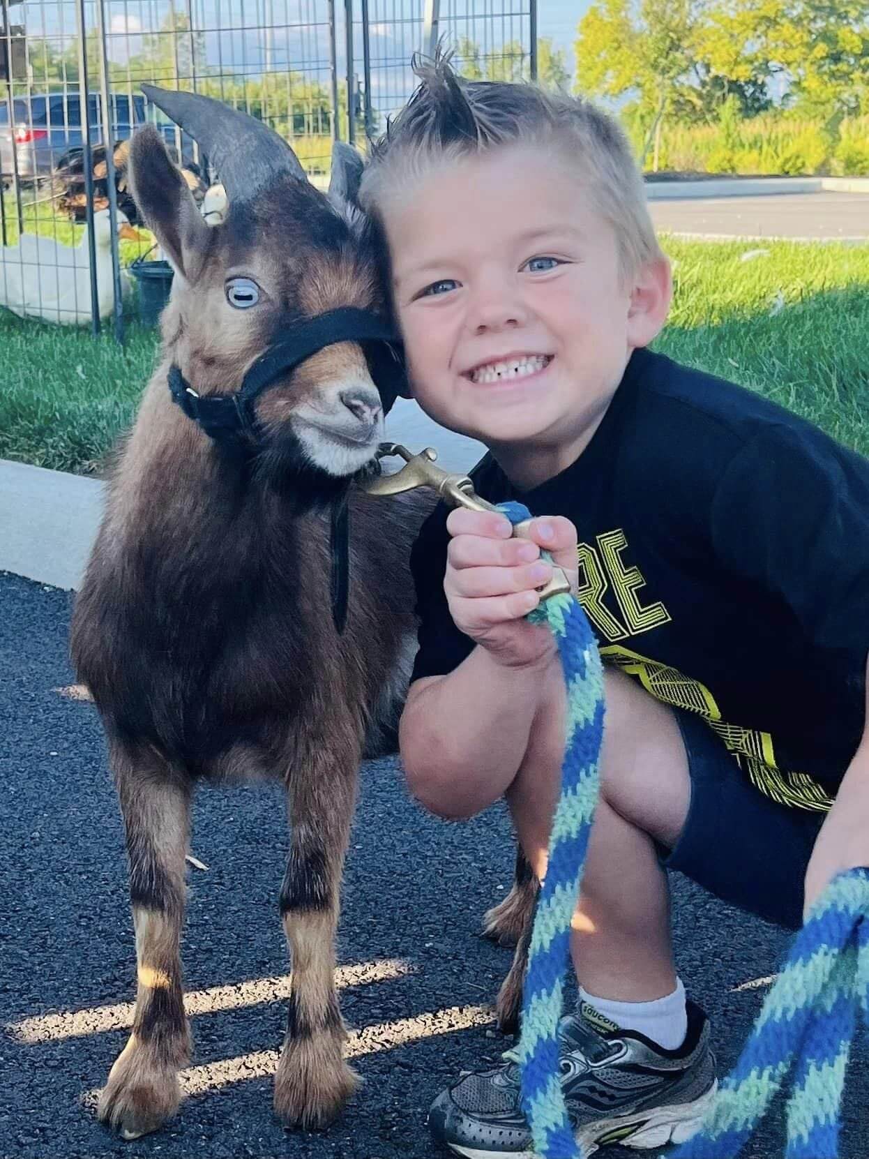 Pony and petting zoo birthday party rental with kids interacting with animals outdoors