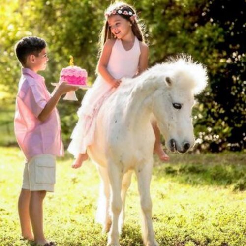 Riverside kids party rentals featuring bounce houses, party characters, pony rides, petting zoos, and children's birthday entertainment by Fun Factory Parties.