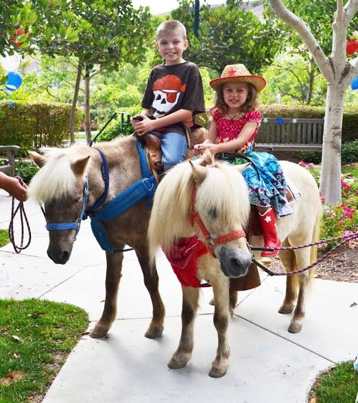 Children enjoying a petting zoo birthday party with friendly farm animals including goats, sheep, rabbits, and chickens.